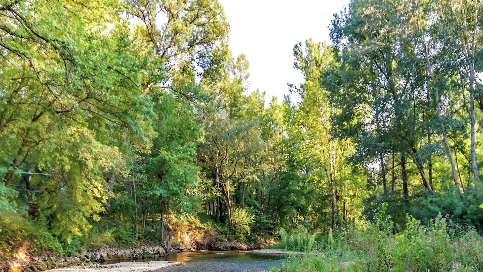 Lovely Villa In Saint-Antonin-Du-Var With Pool France